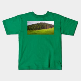 Carpathians landscape Kids T-Shirt